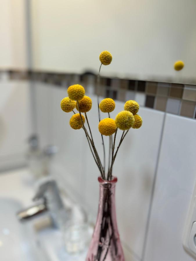 アルプバッハHaus Schmetterlingアパートメント エクステリア 写真