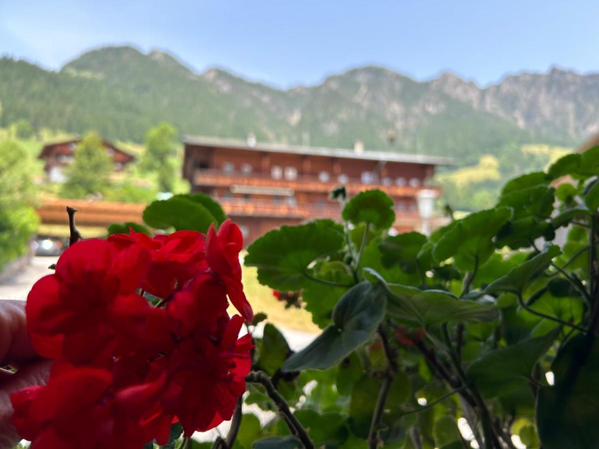 アルプバッハHaus Schmetterlingアパートメント エクステリア 写真